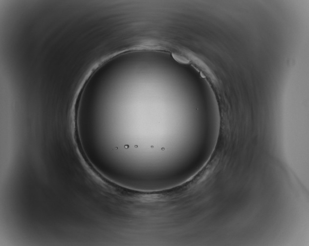 X0000100491479200806131240