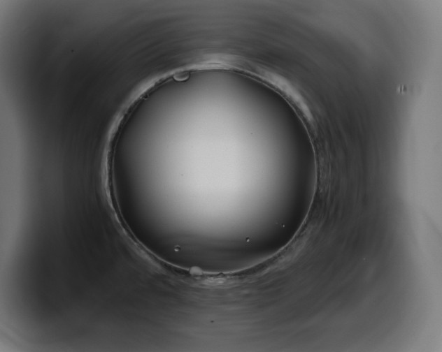 X0000100491480200806131240