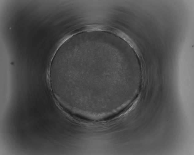 X0000100491481200806131240