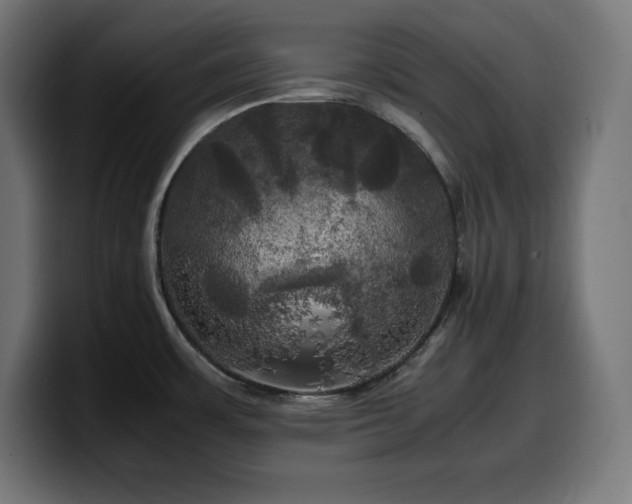 X0000100491483200806131240