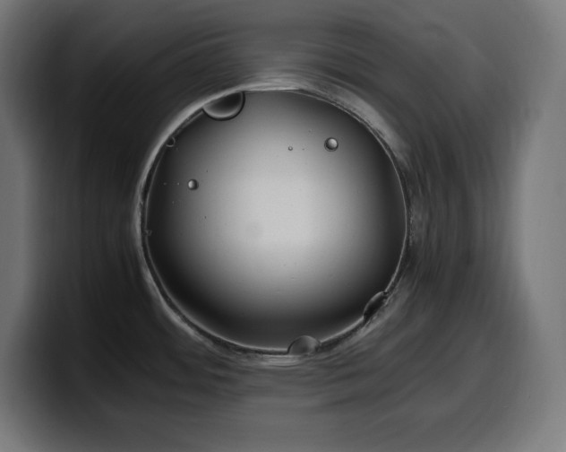 X0000100491484200806131240
