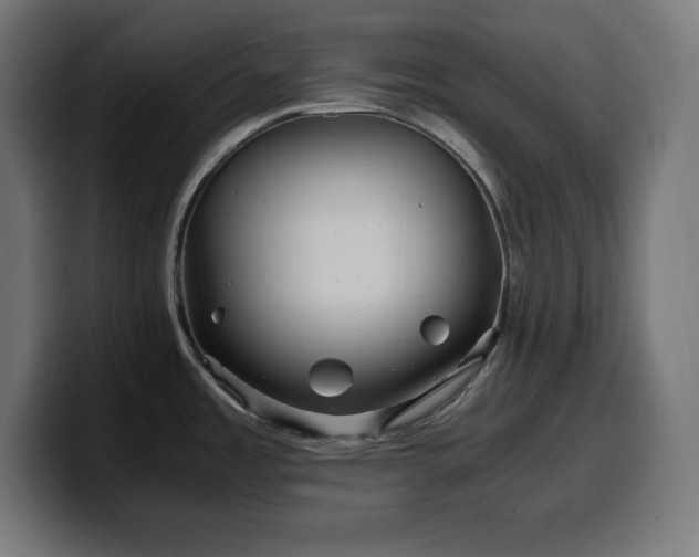 X0000100491485200806131240