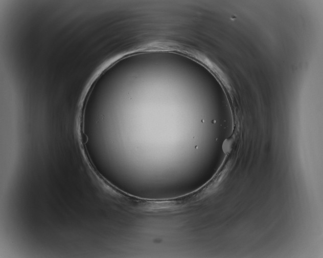 X0000100491486200806131240