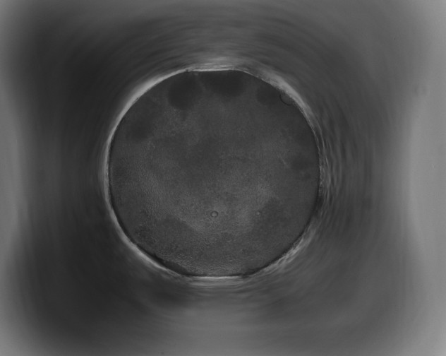 X0000100491487200806131240