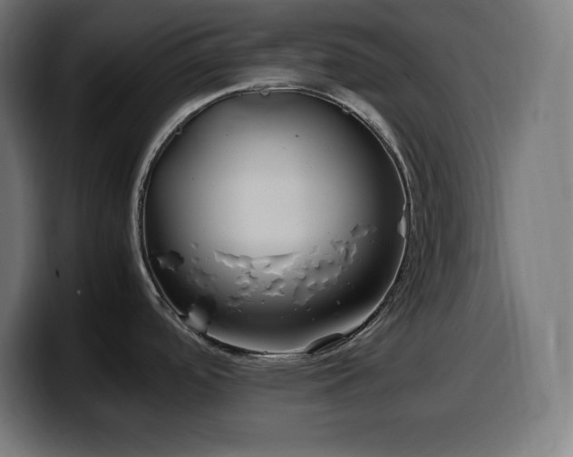 X0000100491488200806131240