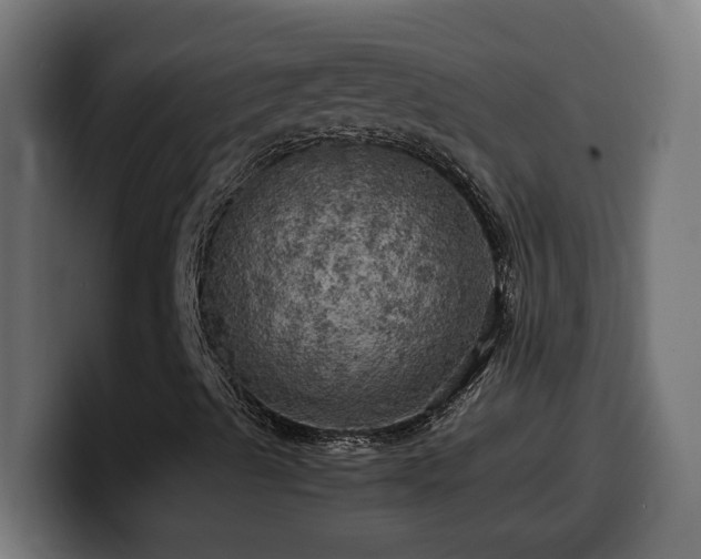 X0000100491489200806131239