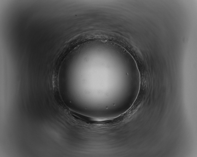 X0000100491490200806131239