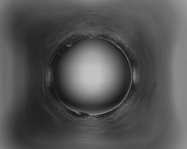 X0000100491492200806131239