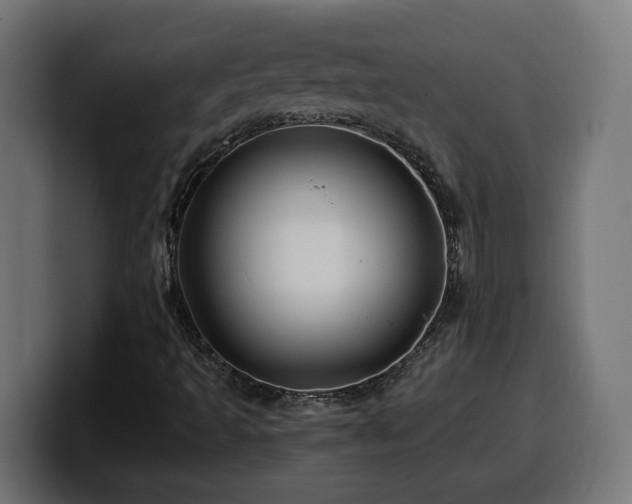 X0000100491493200806131239