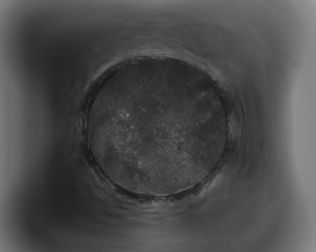X0000100491494200806131239