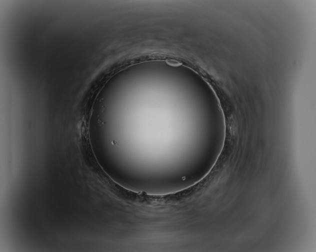 X0000100491495200806131239