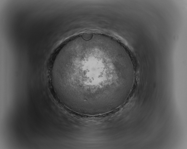X0000100491496200806131239