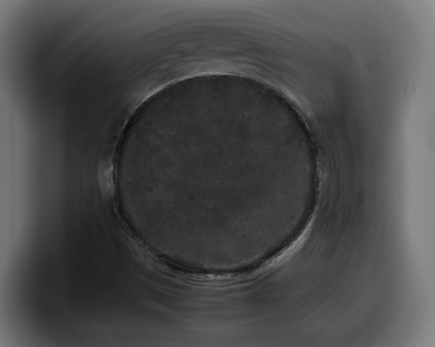 X0000100491497200806131239