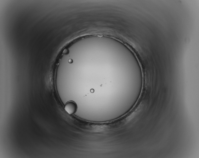 X0000100491498200806131239