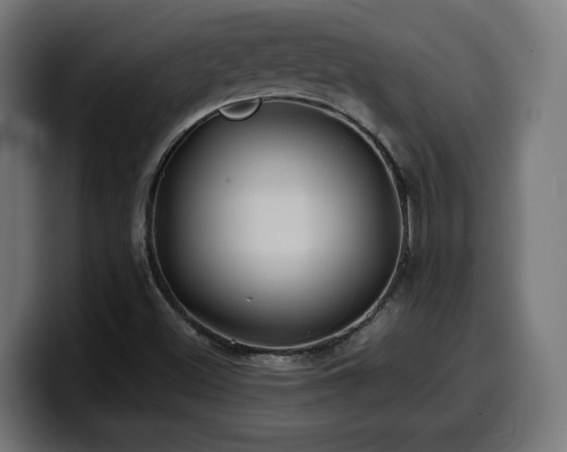 X0000100491500200806131239