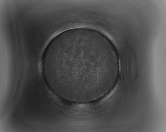 X0000100491501200806131239