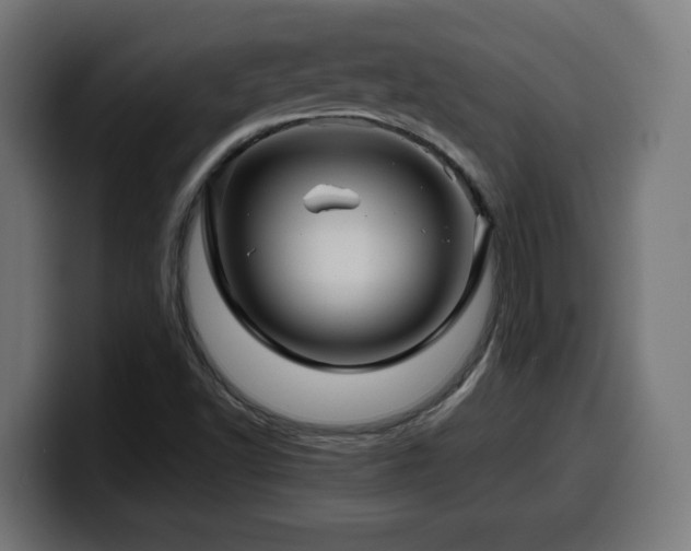 X0000100491502200806131239