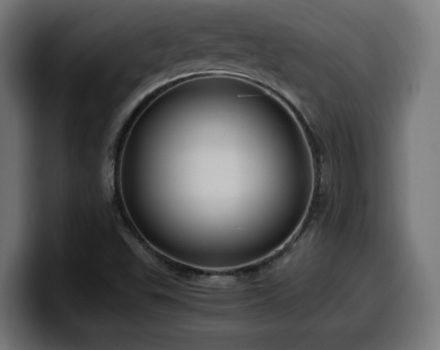 X0000100491503200806131239