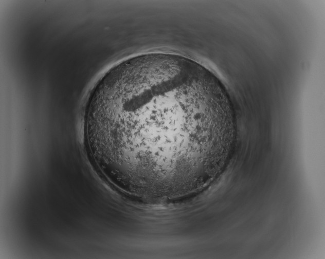 X0000100491504200806131239
