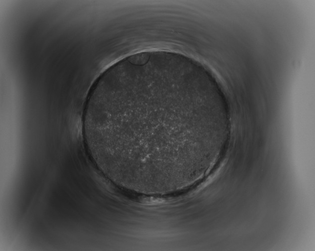 X0000100491505200806131239