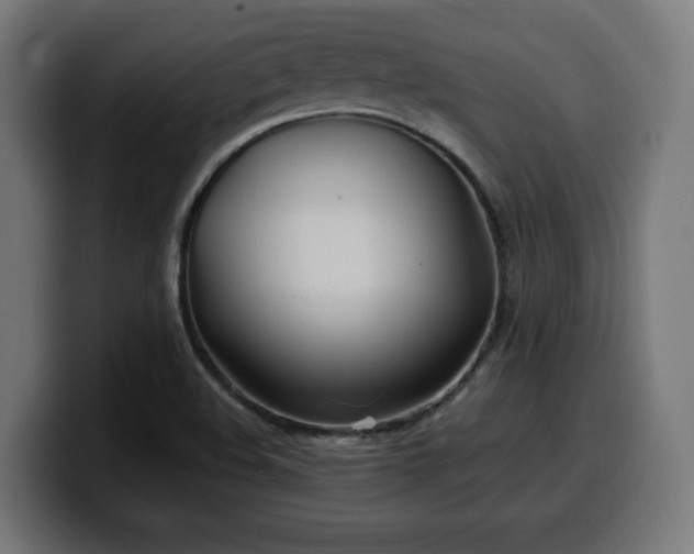 X0000100491508200806131239