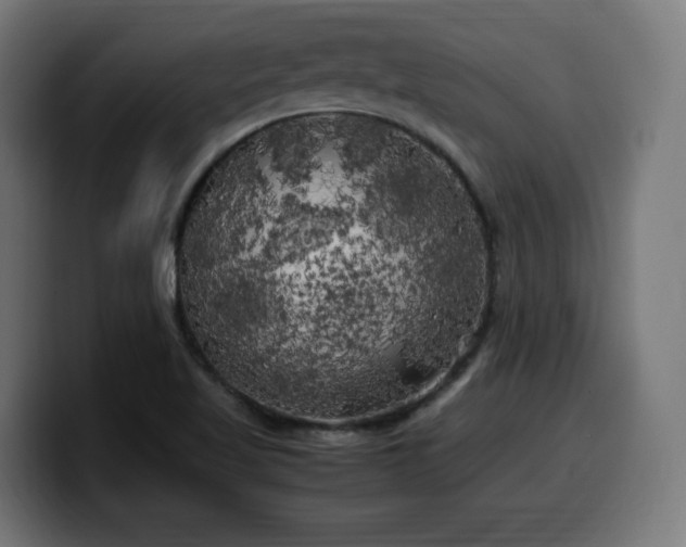 X0000100491509200806131239