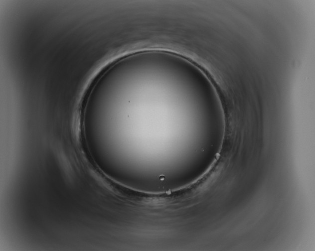 X0000100491511200806131239