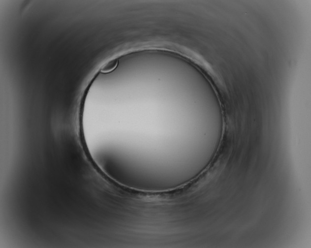 X0000100491512200806131240