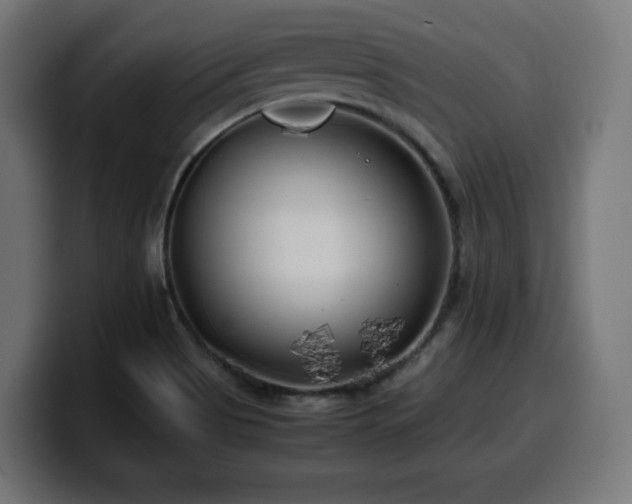 X0000100491513200806131240