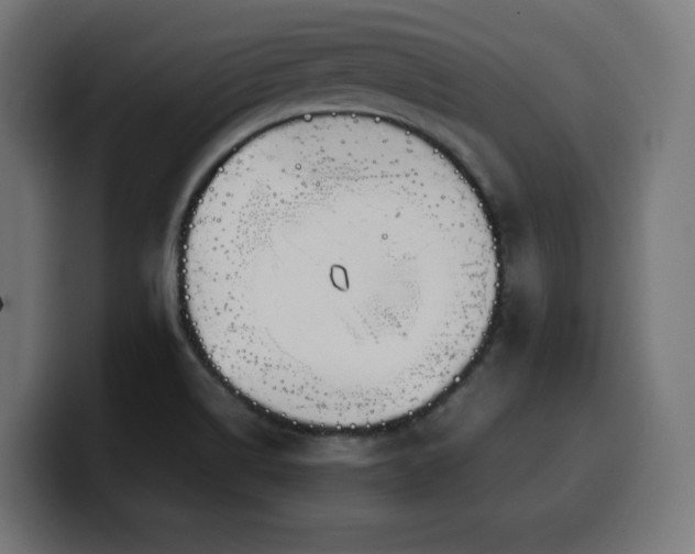 X0000100491514200806131240