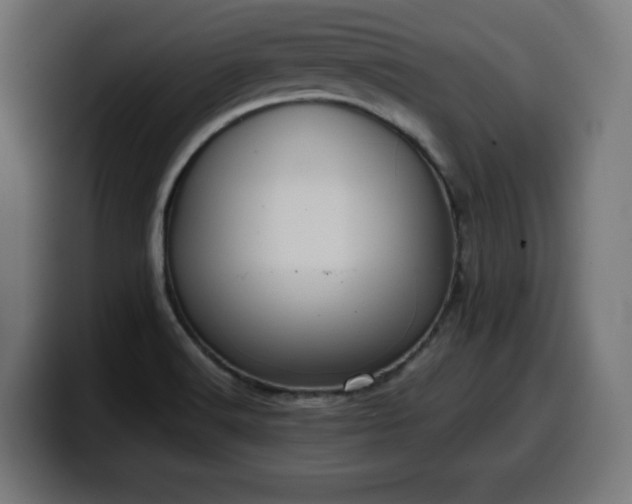 X0000100491516200806131240