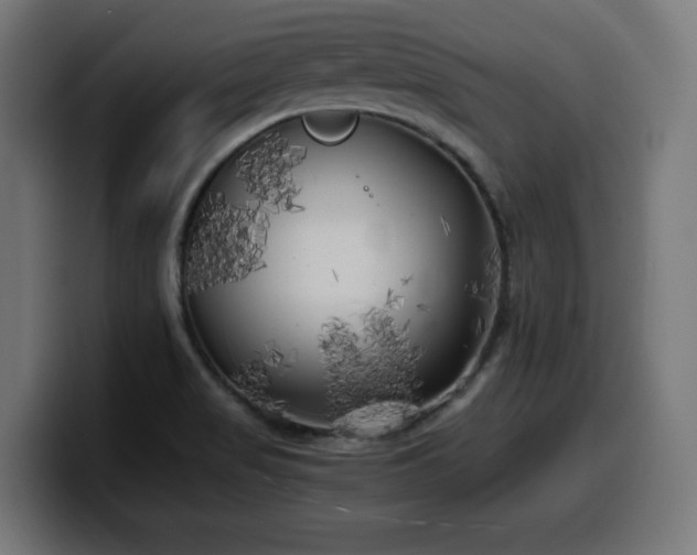 X0000100491517200806131240