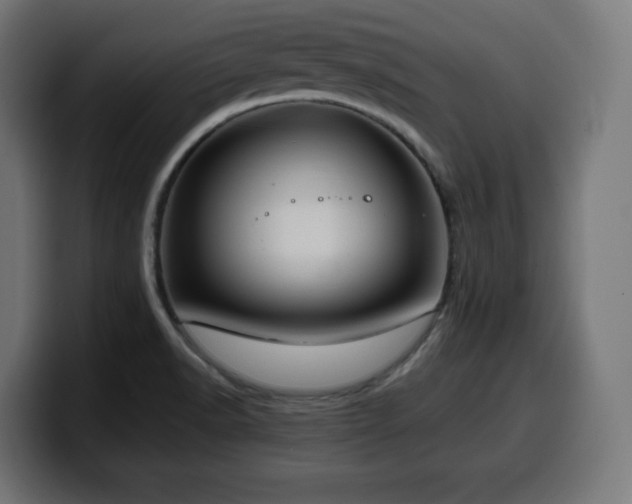 X0000100491518200806131240