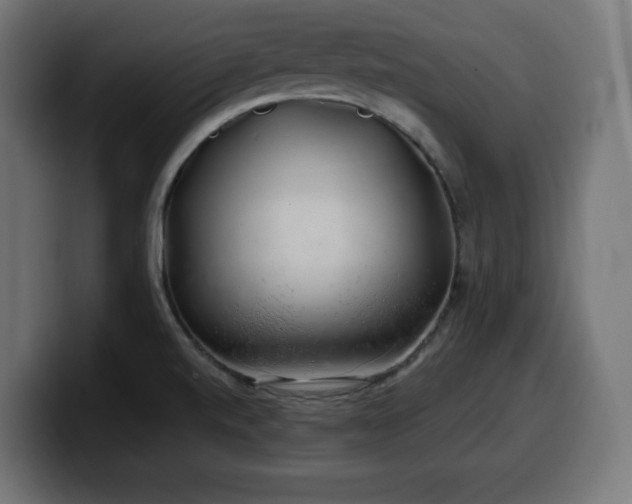 X0000100491520200806131240