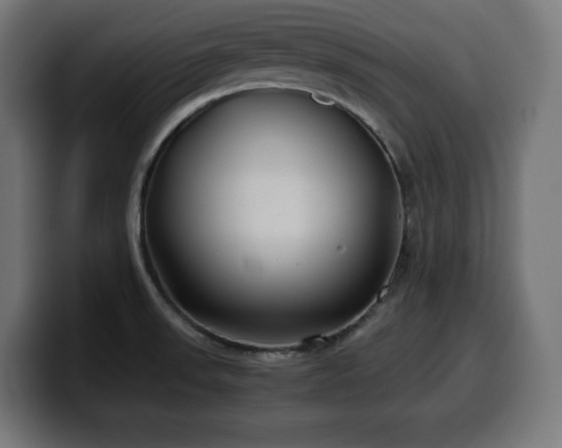 X0000100491523200806131240