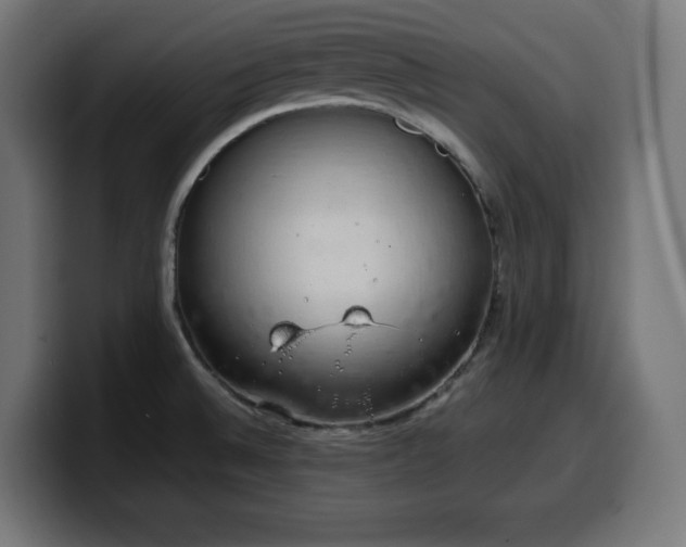 X0000100491524200806131240