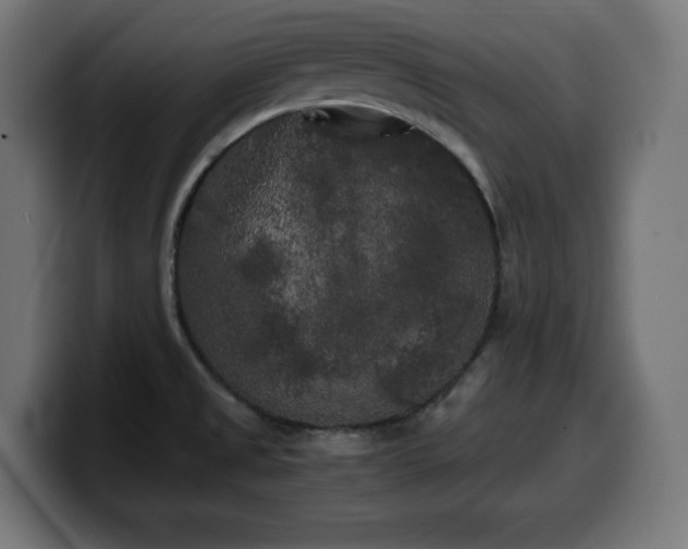X0000100491525200806131240