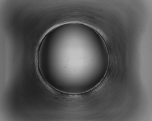 X0000100491526200806131240