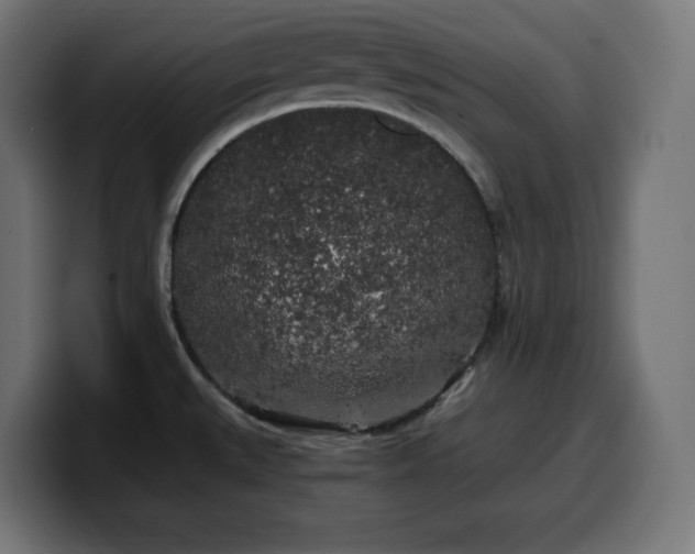 X0000100491527200806131240