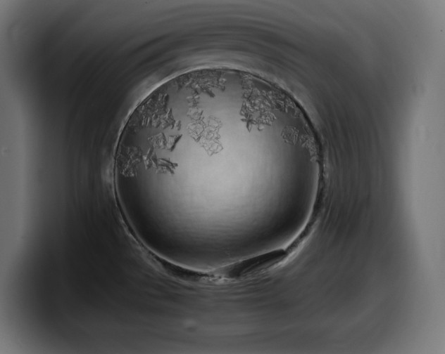 X0000100491529200806131240