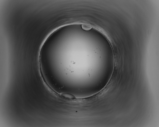 X0000100491532200806131240