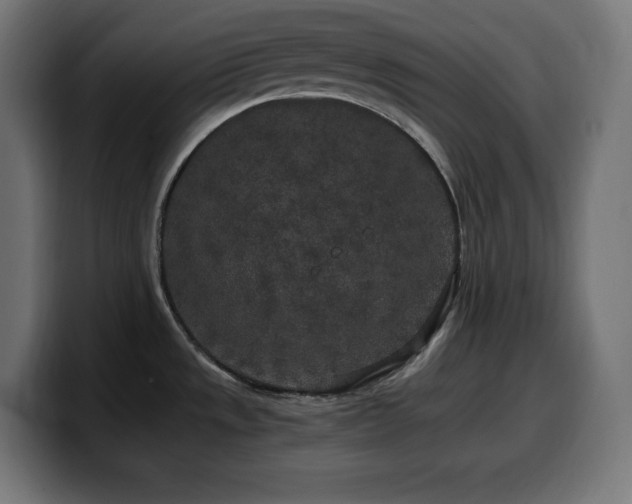 X0000100491533200806131240