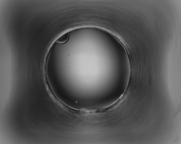 X0000100491534200806131240