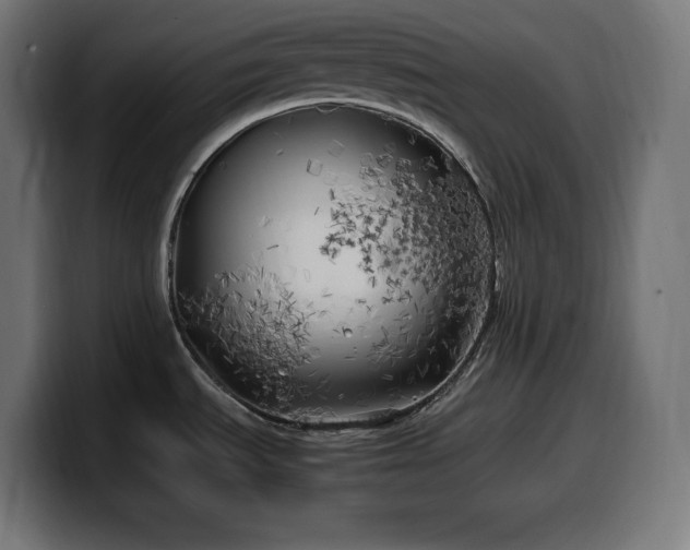 X0000100491535200806131240