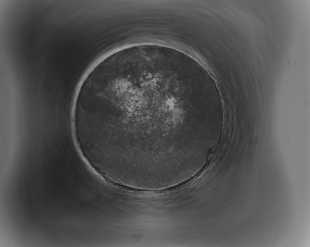 X0000100491536200806131240