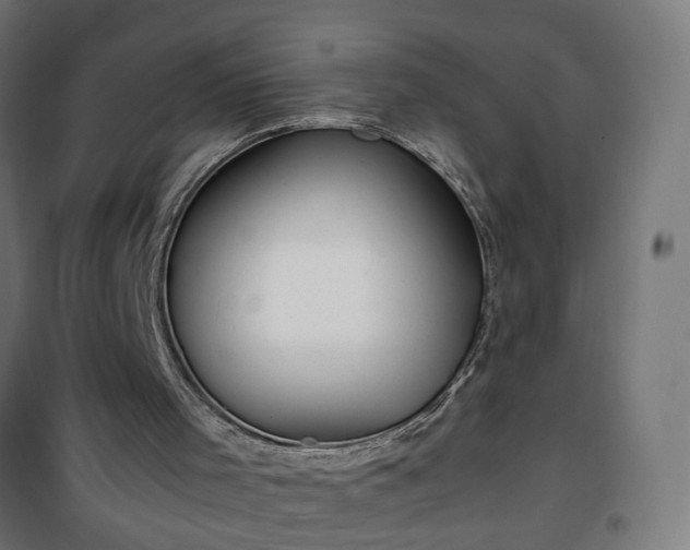 X0000100490001200806201703