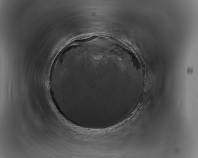 X0000100490002200806201703