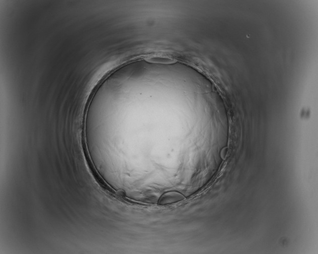 X0000100490003200806201703