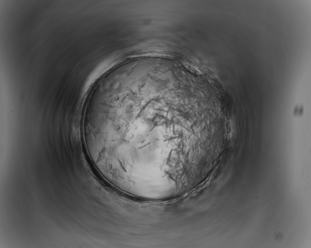 X0000100490004200806201703