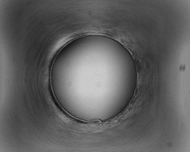 X0000100490005200806201703